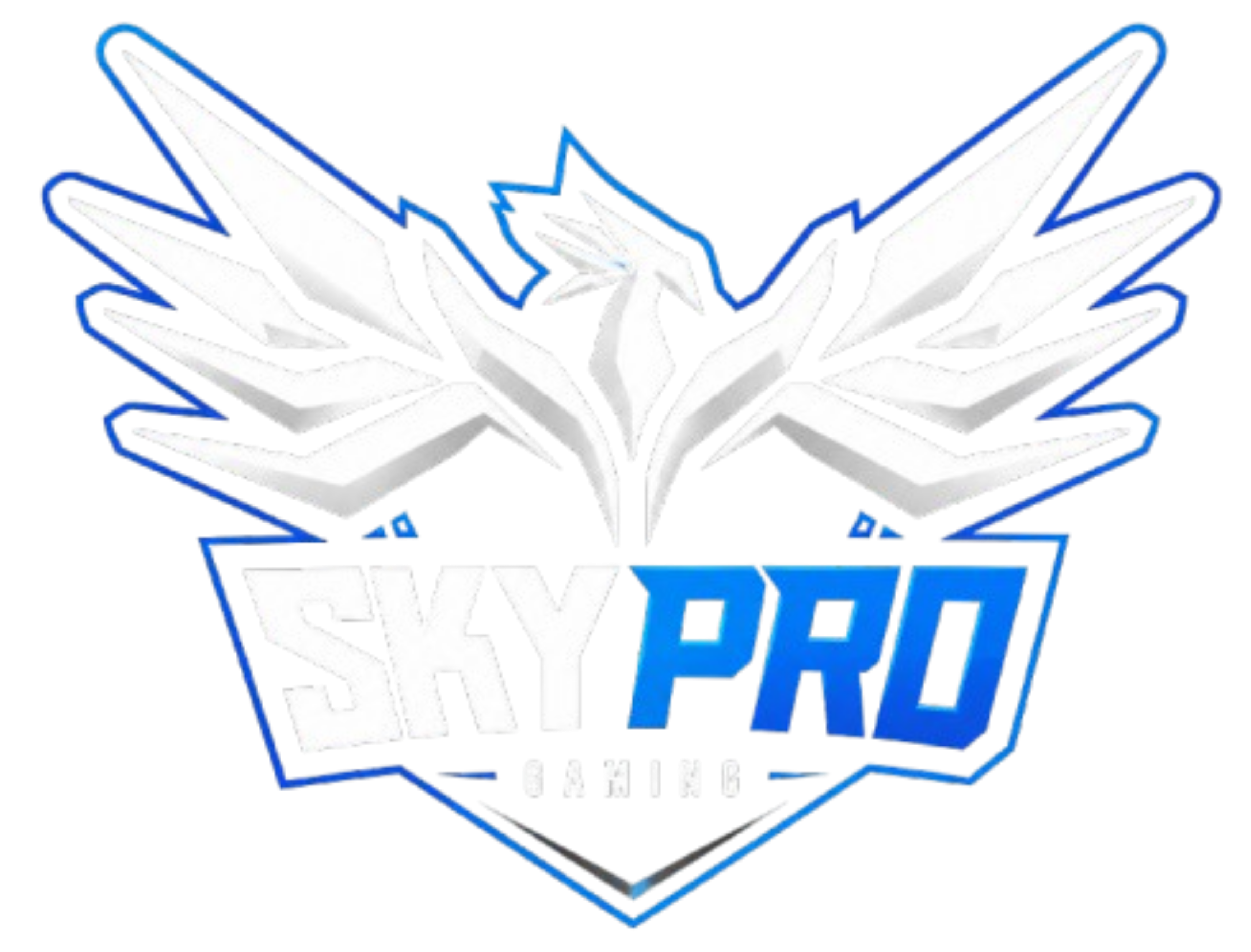 SkyPro Logo